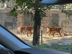 -秦皇岛野生动物园