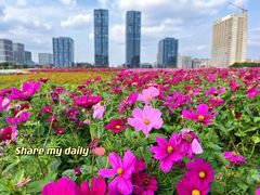 -映月湖中央公园
