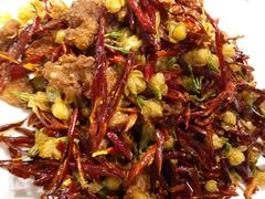 -院8里·少城记忆老川菜(宽窄巷子店)