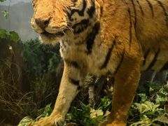 -陕西自然博物馆