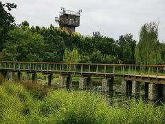 -东郊湿地公园