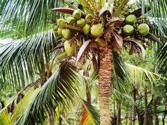 -白沙门生态公园