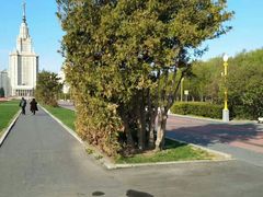 -莫斯科大学