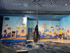 -太平洋海底世界