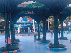 -海合安成都极地海洋公园