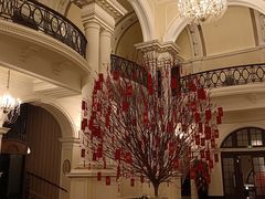 -LONG BAR 廊吧(外滩华尔道夫酒店)