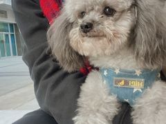 -Line 咖啡(石厦花园店)