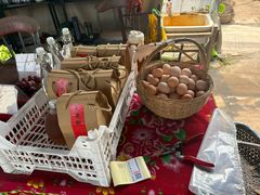 -马陆小张葡萄园农家乐