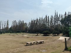 -上海长兴岛郊野公园