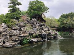 -顺峰山公园