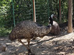 -青藏高原野生动物园