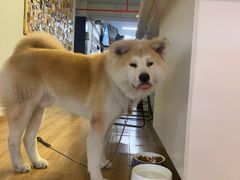 -YCHL Studios健身工作室(市二宫店)