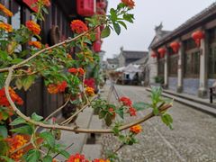 -新月集庭院咖啡馆(老邮局店)