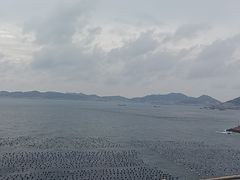-枸杞岛