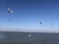 -农垦当壁镇兴凯湖旅游度假区