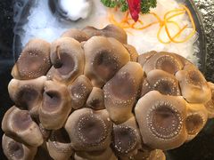 -九鼎轩火锅大排挡