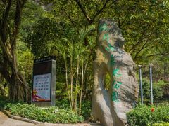 -板樟山森林公园