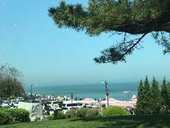 -棒棰岛宾馆景区