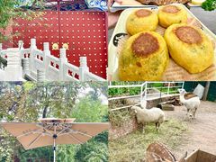 -丽泽山庄·生态怀柔菜·虹鳟鱼(红螺寺店)