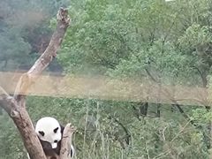 -宁波野生动物园