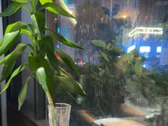 -船家渔(徐州北路店)