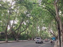 -也枫·小黄楼(南山路旗舰店)