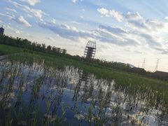 -永定河休闲森林公园