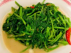 -中国城银都鱼翅酒楼