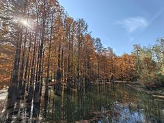 -青龙山国家森林公园