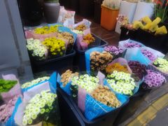 -溪岸路花鸟市场