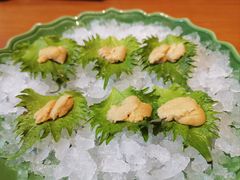 -月龍吟(朝龙汇店)
