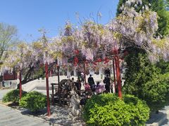 -牟氏庄园