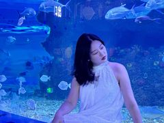 -沙沙哗啦海洋馆(华宇百花谷店)