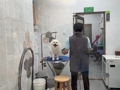 -瑞鹏宠物医院·骨科·猫科·内科(第一中心)