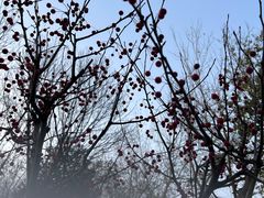 -香美刻(星城商厦店)