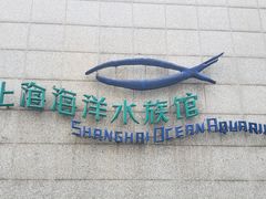 -上海海洋水族馆
