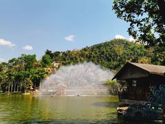 -西双版纳原始森林公园