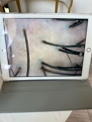 -丝域养发馆