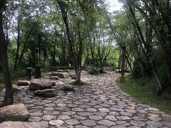 -盘龙城国家考古遗址公园