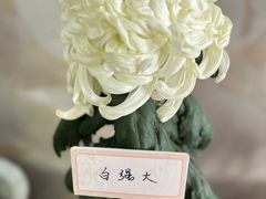 -杭州植物园