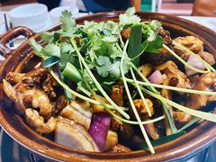 -胡须佬鸡煲四季火锅(龙珠大道店)