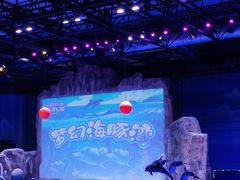 -华夏文旅海洋公园