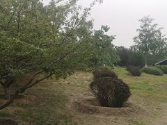 -永定河休闲森林公园