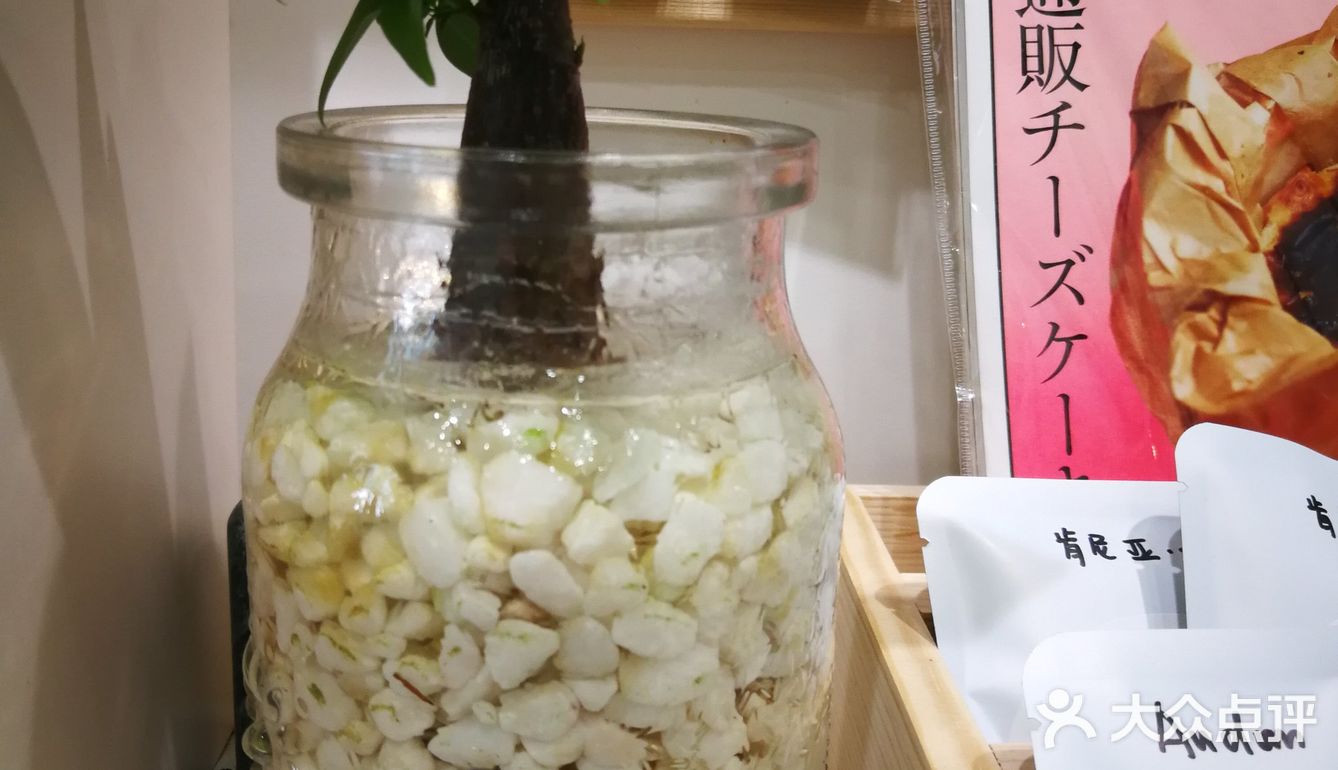 日杂+咖啡