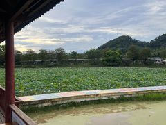 -红山村