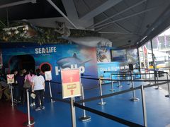 -悉尼海洋生物水族馆