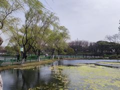 -金银湖国家城市湿地公园