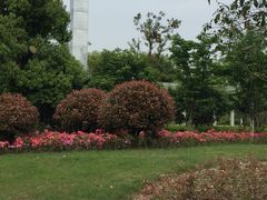 -杭州城北体育公园