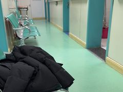 -北京观赏动物医院·24小时大型综合·猫专科·异宠专科