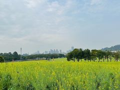 -光明小镇欢乐田园